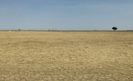 a Reuben sandwich on wax paper.